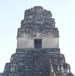 De flesta mayapyramiderna finner man i Mexico och Guatemala